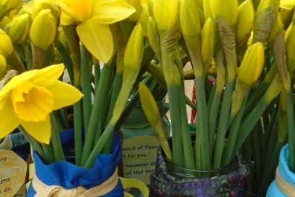 Spring arrives at Claydon House Care Home
