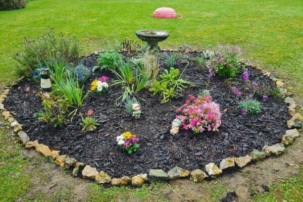 Kippingtons Nursing Home are springing into summer
