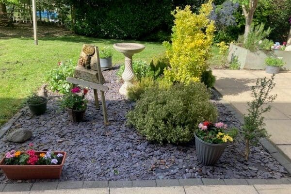 Aria in bloom at St Georges Care Home