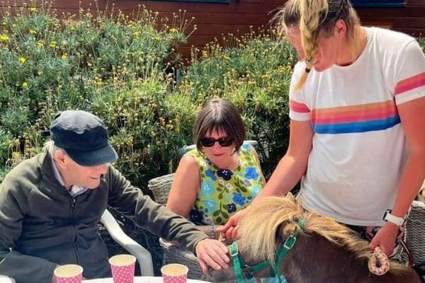 Rescue animals visit Jersey Homes for Care Home Open Week