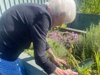 Gardening Club Producing Tasty Results at  Ivy Court