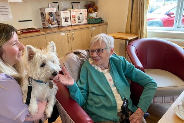 Doggy Café at Mount Pleasant