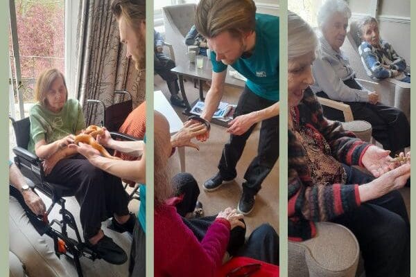 Animal Therapy at Galsworthy House