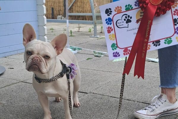 Southlands Place Care Home annual dog show success