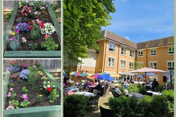 Delightful Aria in Bloom day at Belmont House