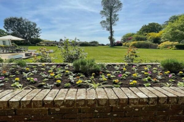 Knowle Park getting ready for summer with Aria in Bloom