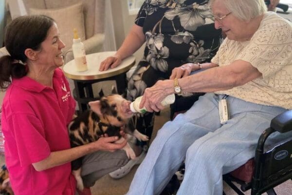 Coxhill Celebrate Care Home Open Week