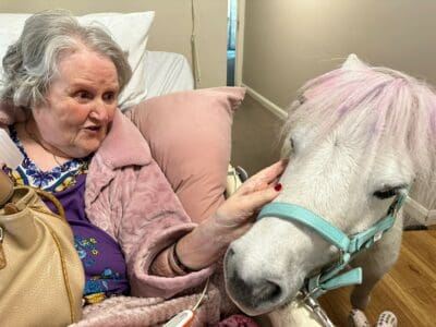Pathway Ponies visit Hulcott Nursing Home residents