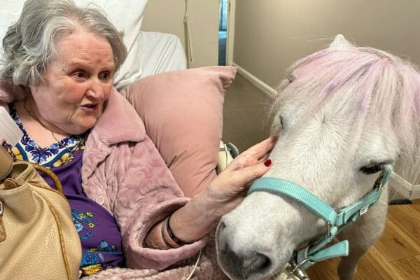 Pathway Ponies visit Hulcott Nursing Home residents
