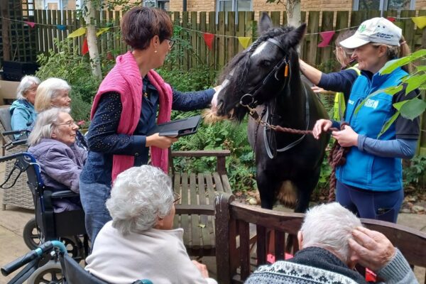 Park Lane Stables visits Deer Park View residents