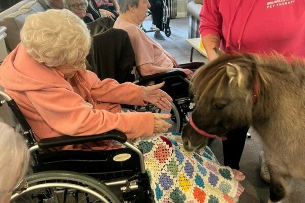 Pet therapy at Aria care homes