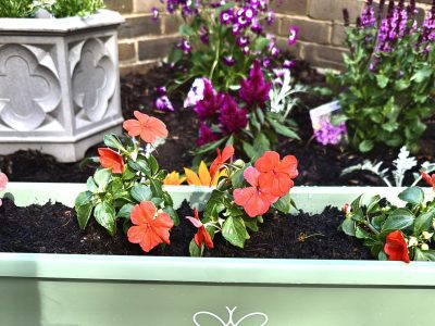 Sundridge Court Blossoms with Community Spirit in ‘Aria in Bloom’ Transformation