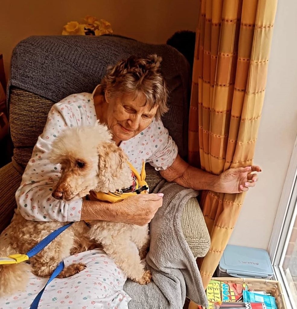 Animal therapy at Solent Grange