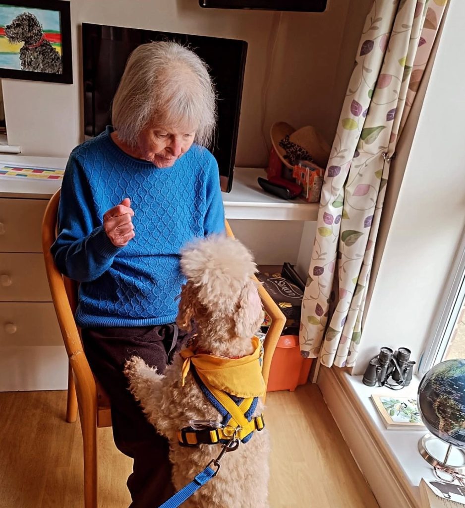 Animal therapy at Solent Grange