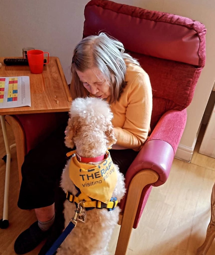 Animal therapy at Solent Grange