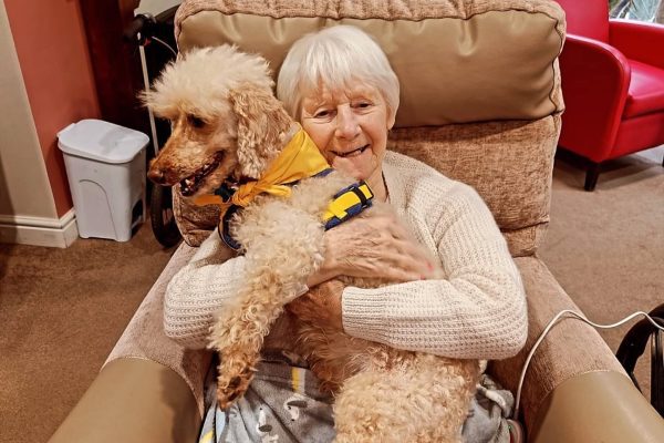 Animal therapy at Solent Grange