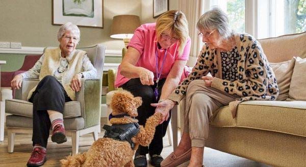 Convalescent Care vs. Nursing Care: Understanding The Difference