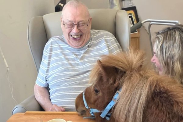 Beechwood Park residents meet therapy ponies