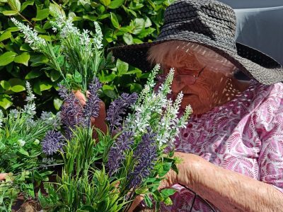 Springtime gardening at Kings Lodge