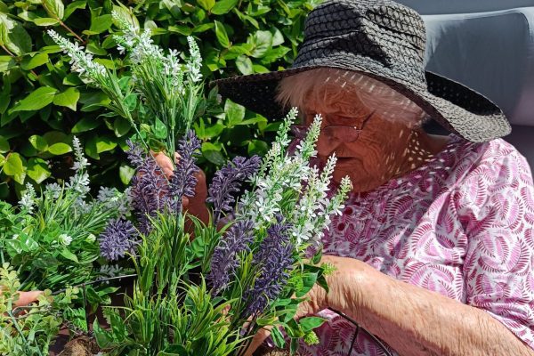 Springtime gardening at Kings Lodge