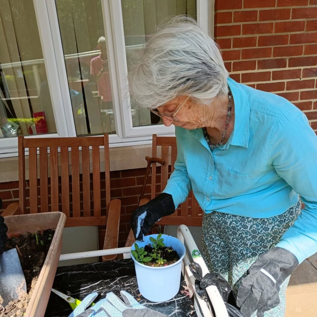 Aria in Bloom at Solent Grange