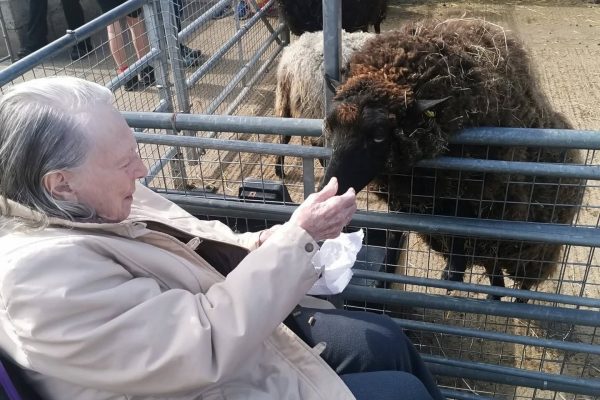 Acacia Care Centre residents visit Deen City Farm