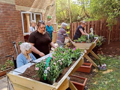 Aria in Bloom at Solent Grange