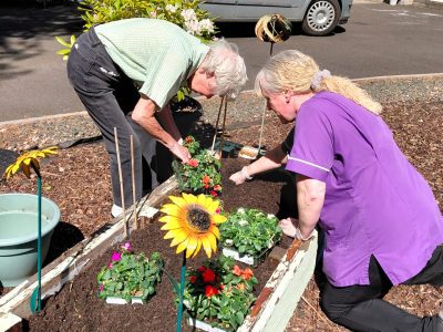 A creative week of gardening at Scoonie House