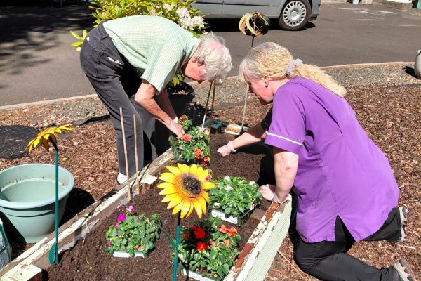 A creative week of gardening at Scoonie House