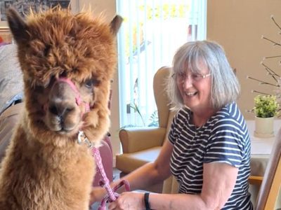 Marchglen’s alpaca adventure