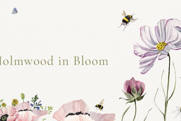 Holmwood in Bloom