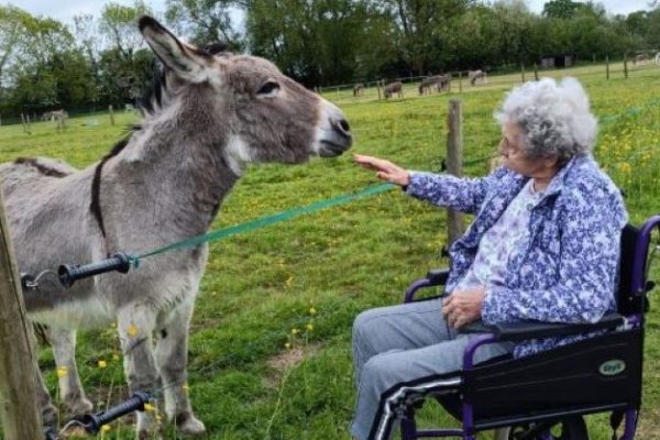 Huntercombe Hall residents enjoy trip to local Donkey Sanctuary