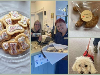 Magna celebrate National Dog Rescue Day