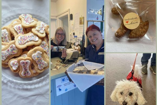 Magna celebrate National Dog Rescue Day