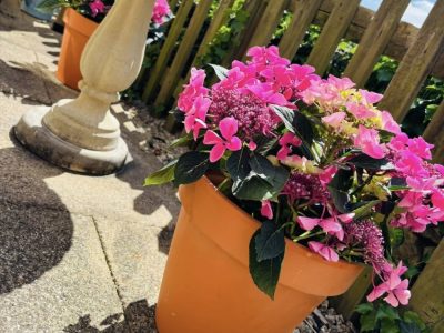 Aria in Bloom community collaborations at Mill House