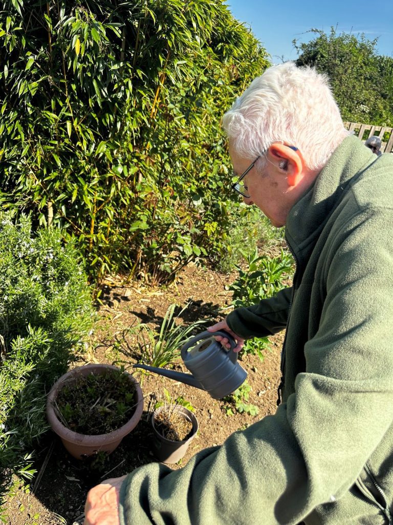 Stowford House Aria in Bloom Gardening
