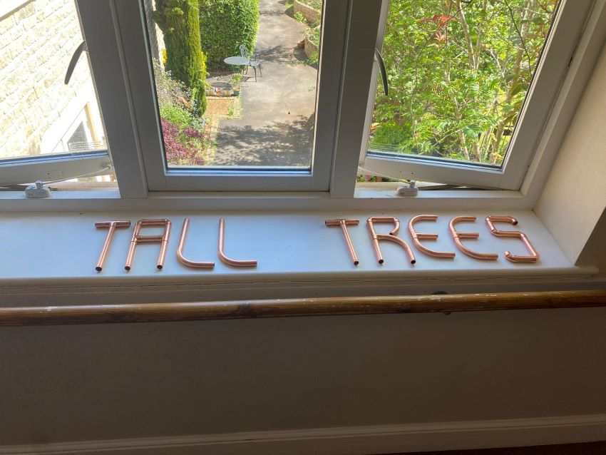 Tall Trees aria in bloom creation