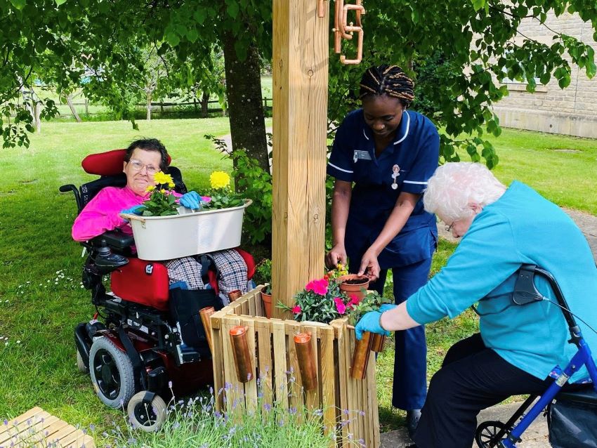Tall Trees aria in bloom residents