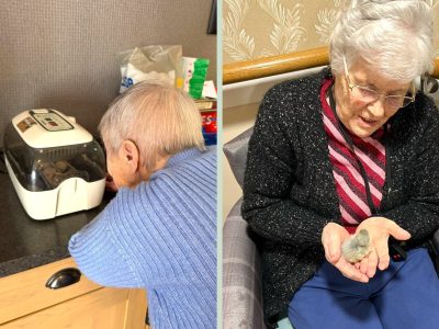 Kingsclear hatches chicks in special Springtime tradition