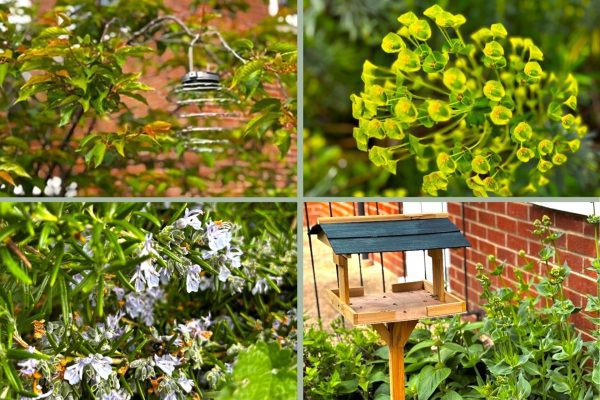 Oak Manor’s garden blossoms with fantastic community effort