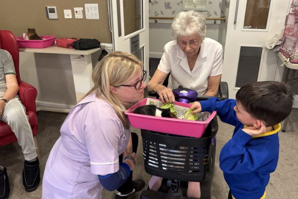 Ivy Court Welcome Local Children and Petting Farm for Intergenerational Week