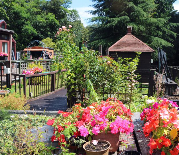 Gardening and dementia