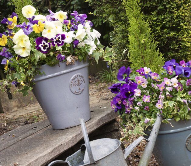 Gardening and dementia