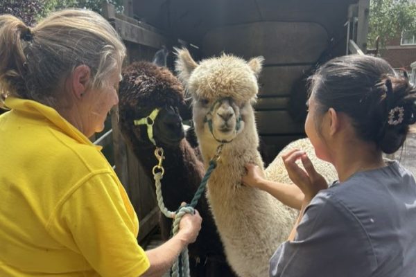 Alpaca Adventure visits Miranda House