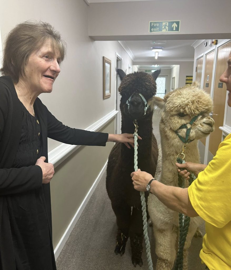 Alpaca Adventure visits Miranda House