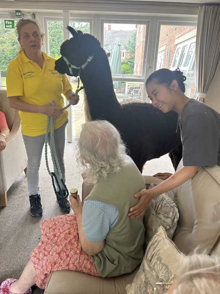 Alpaca Adventure visits Miranda House