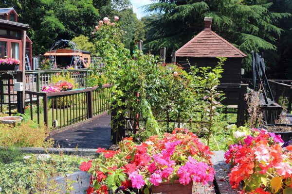 A Guide to Accessible Gardening Tools for Seniors