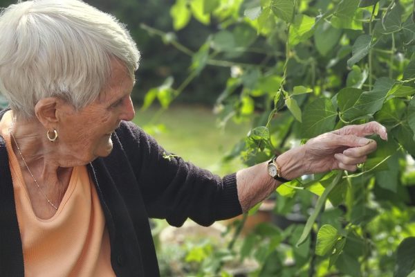 Green Fingers and Big Smiles: Oaklands’ Garden Club Celebrates First Harvest!