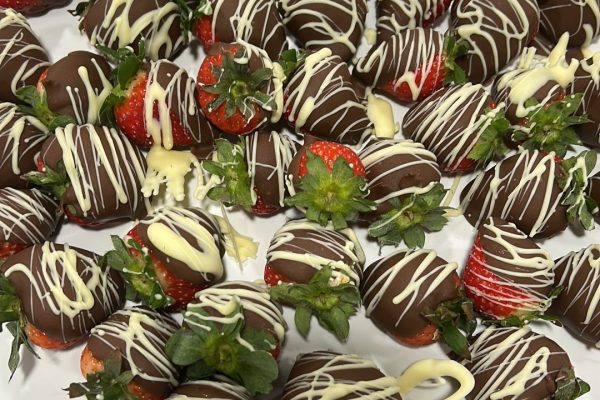 Willy Wonka’s Chocolate Tasting Experience