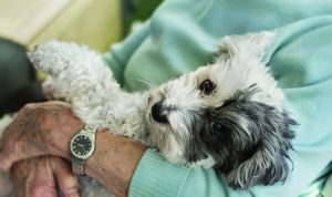 Canines and Caffeine – Coffee Morning & Walk